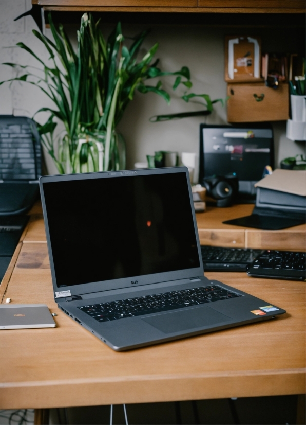 Fall Images, Computer, Plant, Table, Personal Computer, Laptop