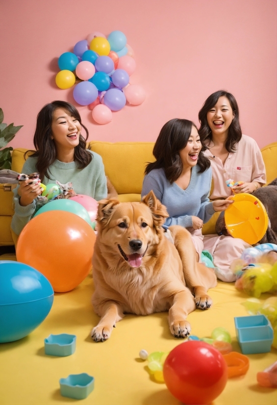 Graphic Design Studio Equipment, Smile, Dog, Photograph, Toy, Yellow