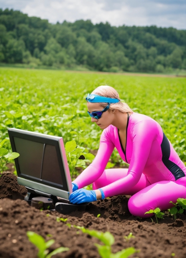 I Stock Photo Free Download, Plant, Computer, Personal Computer, Wheel, Sky