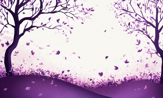 Library Wallpaper, Purple, Plant, Natural Landscape, Snow, Twig