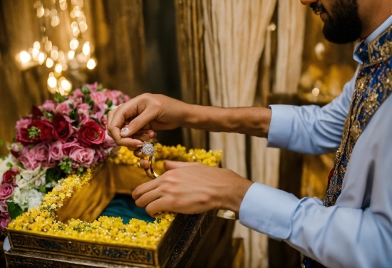 Logo Project Editor, Hand, Flower, Photograph, Yellow, Petal