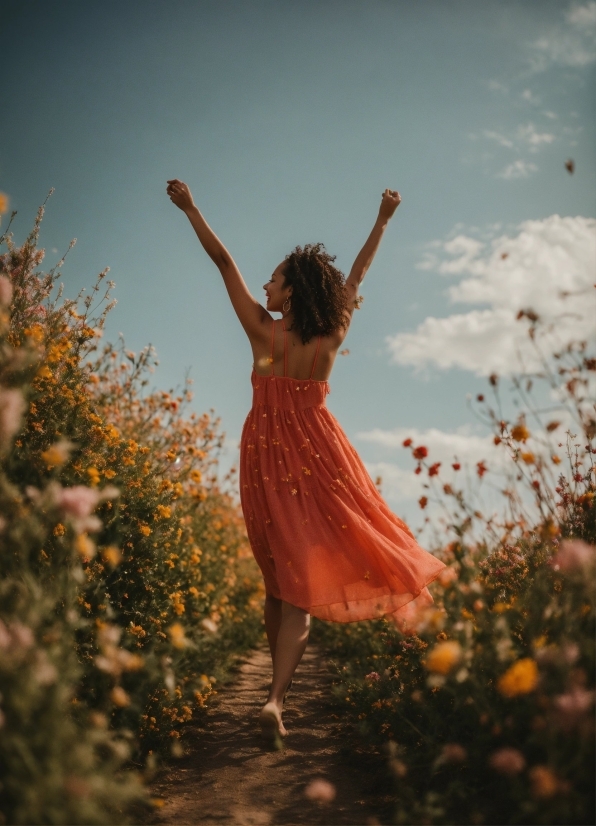 Lumi Photo Editor, Hair, Sky, Plant, Arm, Flower