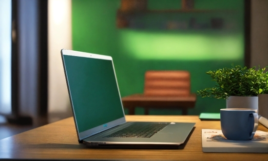 Newborn Photoshoot, Table, Computer, Furniture, Plant, Personal Computer