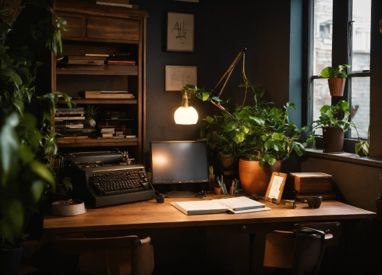 Neysa Mcmein, Table, Plant, Property, Furniture, Computer