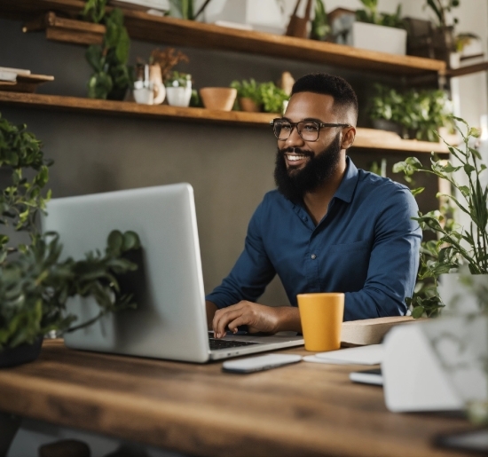 Nurse Stock Image, Computer, Plant, Glasses, Laptop, Personal Computer