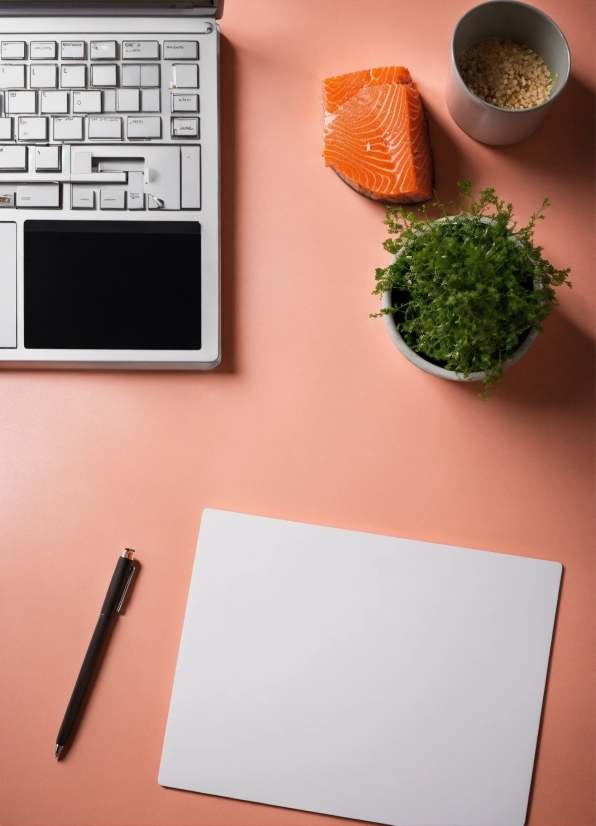 Palm Tree Stock Photo, Space Bar, Input Device, Computer Keyboard, Peripheral, Laptop