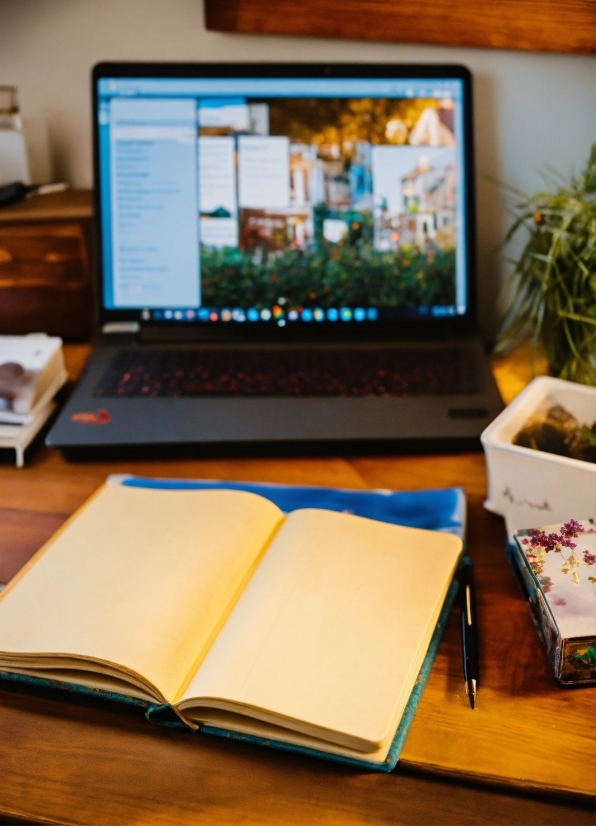 Pharmacy Stock Photos, Computer, Personal Computer, Laptop, Plant, Flowerpot