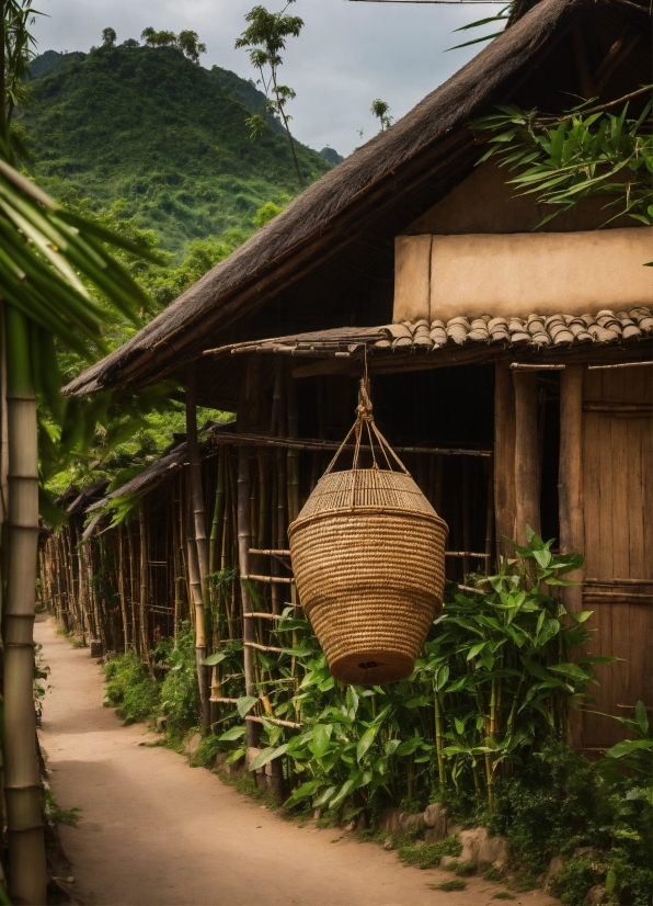 Pixabay Non Copyright Images, Plant, Wood, Temple, Tree, Thatching