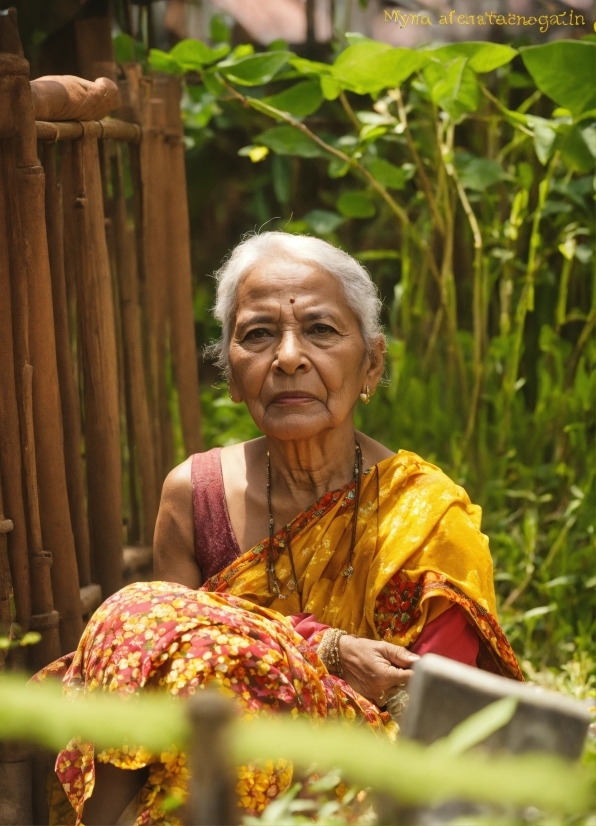 Plant, People In Nature, Botany, Temple, Happy, Grass