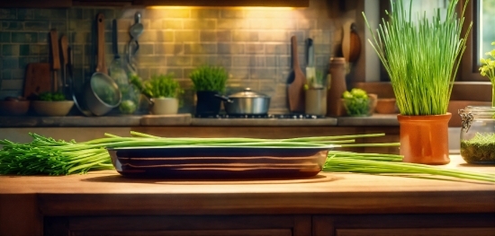 Plant, Tableware, Dishware, Wood, Rectangle, Lighting