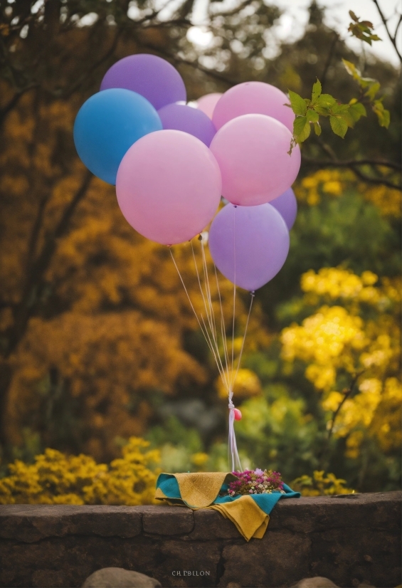 Poster Slogan, Plant, Balloon, Sky, Grass, Party Supply