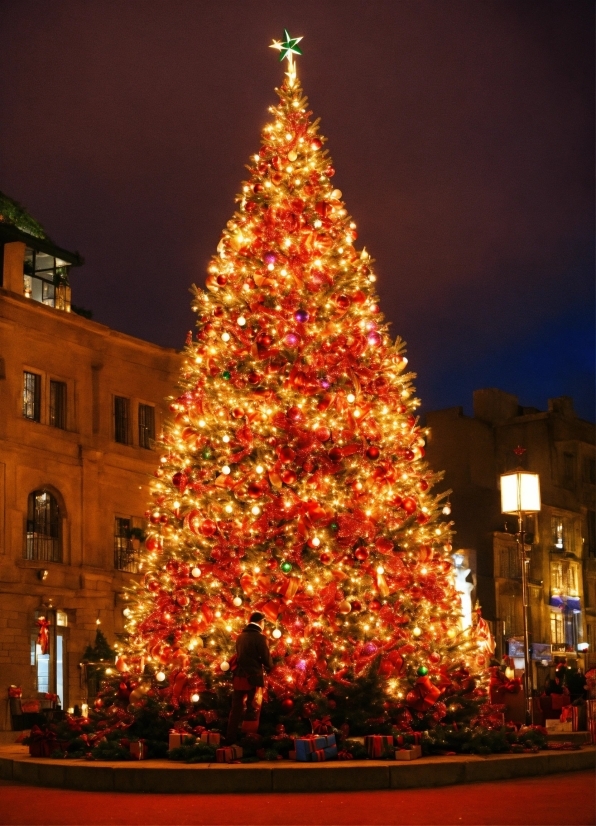 Rodin, Christmas Tree, Christmas Ornament, Sky, Plant, Electricity