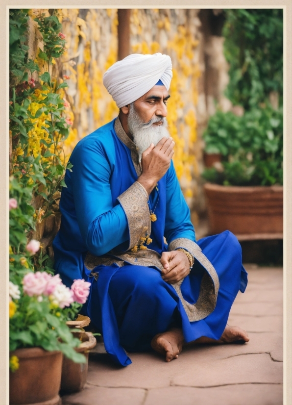 Sad Stock Image, Plant, Eye, Flowerpot, Houseplant, Turban