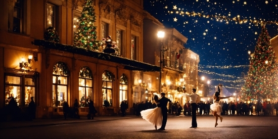 Science Exhibition Poster, Christmas Tree, Building, Window, Light, Sky