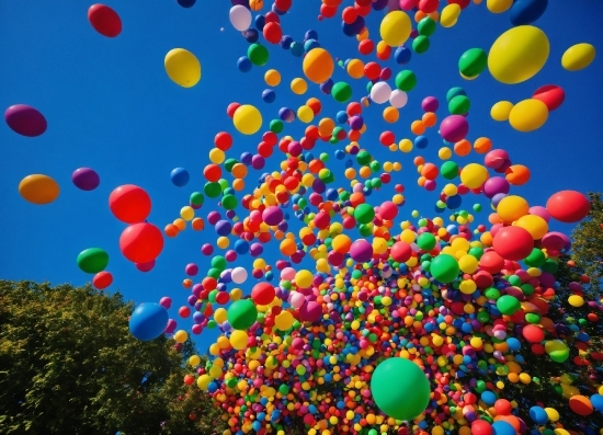 Spatial Graphic Design, Colorfulness, Sky, Balloon, Tree, Party Supply