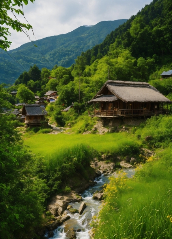 Stock Image Sites, Plant, Water, Sky, Mountain, Cloud