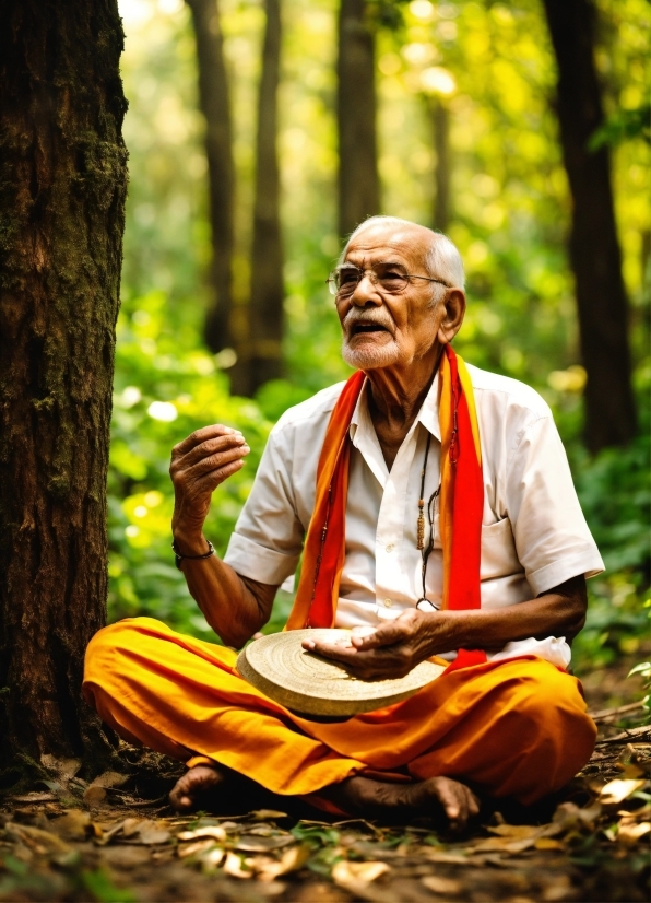 Stock Market Stock Photo, People In Nature, Plant, Botany, Temple, Tree