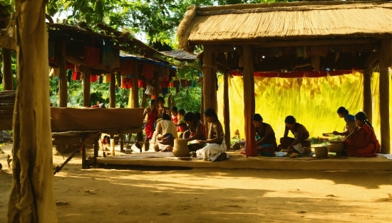 Whatsapp Dp Photo, Temple, Tree, Shade, Travel, Leisure