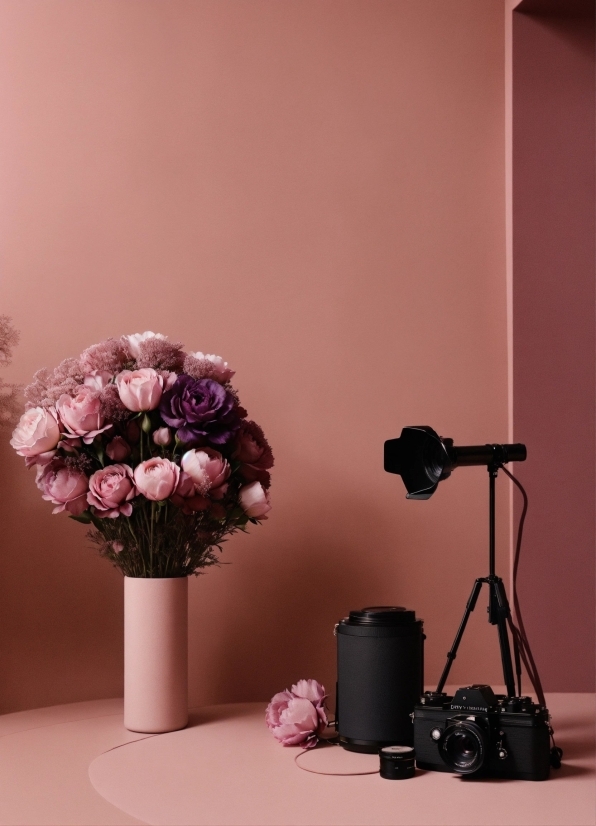 Ai Animated Videos, Flower, Plant, Vase, Camera Lens, Petal