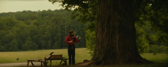 Ai Weiwei Youtube, Plant, Tree, Wood, Air Gun, Grass