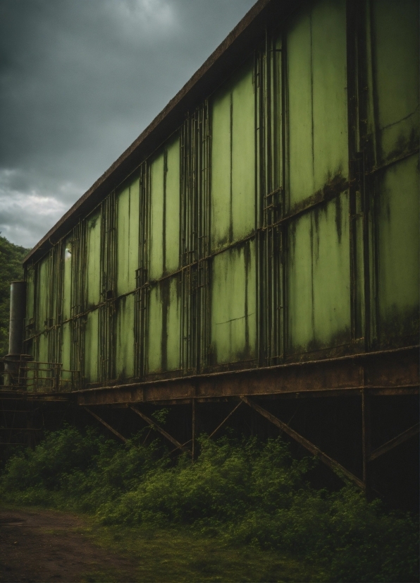 Free Fire Ka Photo, Cloud, Sky, Wood, Building, Plant