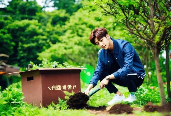 Glasses, Plant, People In Nature, Green, Tree, Wood