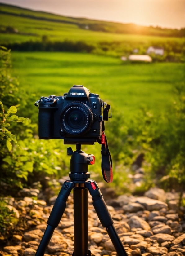 High Resolution Winter Desktop Wallpaper, Sky, Plant, Tripod, Reflex Camera, Camera Lens