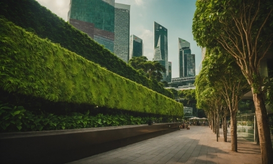 Jiraiya Wallpaper 4k, Building, Sky, Plant, Skyscraper, Cloud