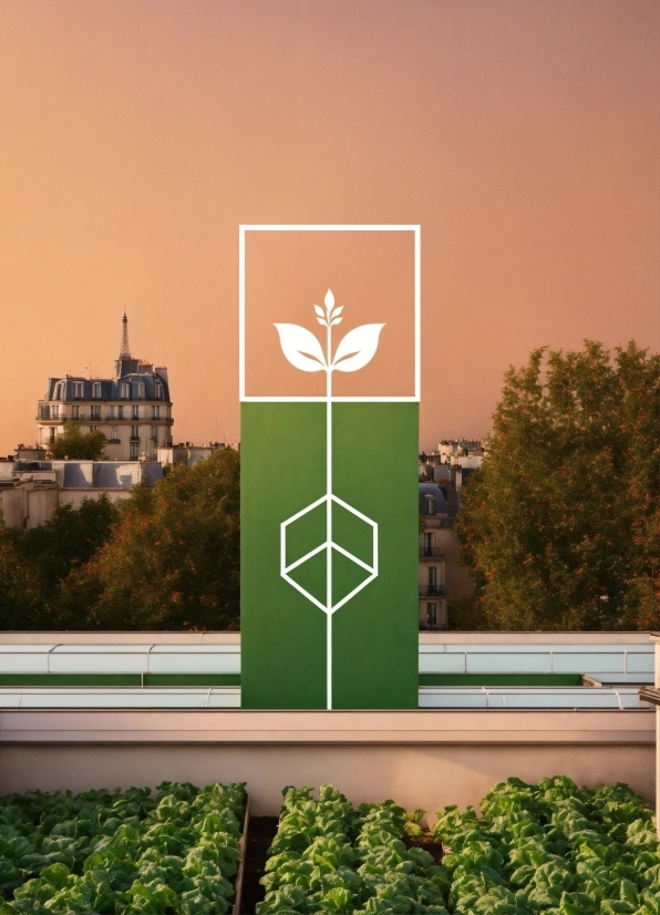 Kappa Logo Vector, Plant, Light, Sky, Nature, Window