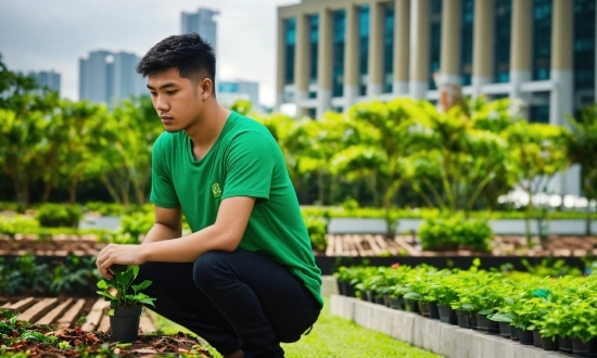 Kimetsu No Yaiba Background, Plant, Green, Building, Grass, People In Nature