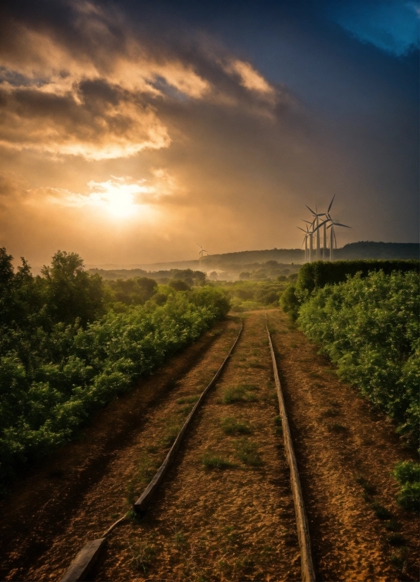 Live Pc Wallpapers Free, Cloud, Sky, Atmosphere, Plant, Windmill