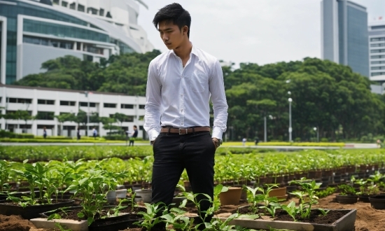 Man Standing Stock Image, Plant, Dress Shirt, Sleeve, Sky, Collar