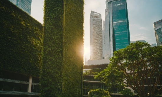 Meditation Illustration, Building, Skyscraper, Sky, Plant, Tower Block