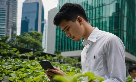 Mehndi Pic, Hand, Plant, Building, Dress Shirt, Grass