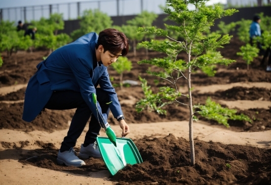 Mexican Stock Photo, Plant, People In Nature, Garden Tool, Grass, Adaptation