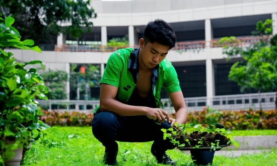 Middle Aged Man Stock Photo, Plant, Shorts, Green, People In Nature, Tire