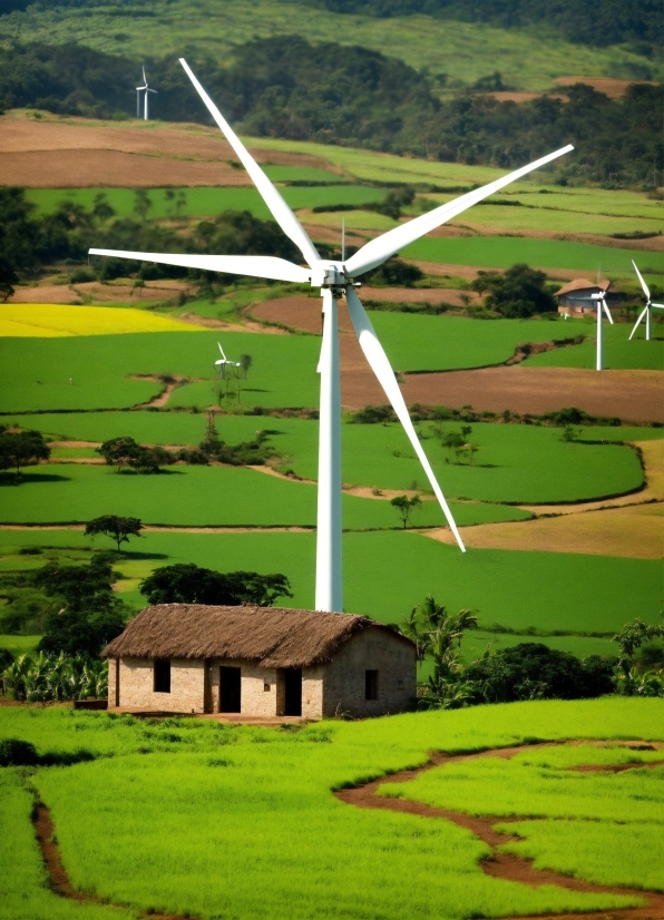 Mononoke Wallpaper, Windmill, Ecoregion, Wind Farm, Green, Wind Turbine