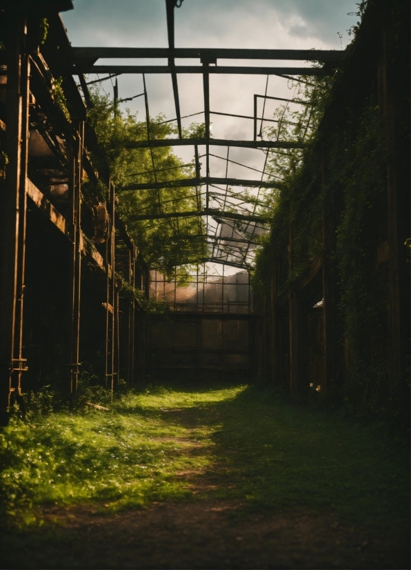 New Photo Download Hd Wallpaper, Sky, Cloud, Plant, Shade, Architecture