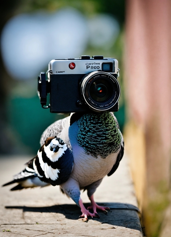 Profile Picture Generator Ai, Bird, Reflex Camera, Camera Lens, Camera Accessory, Flash Photography