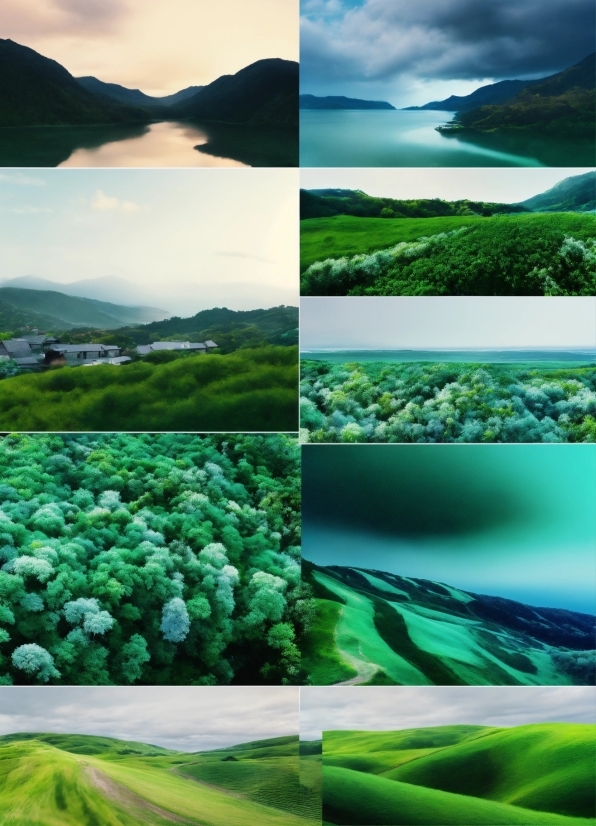 Water, Cloud, Sky, Water Resources, Green, Ecoregion