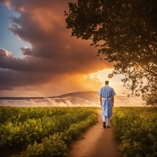 Adobe Stock Footage, Cloud, Plant, Sky, People In Nature, Nature