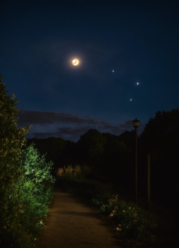 Ai Image Expander, Plant, Sky, Atmosphere, Cloud, Moon