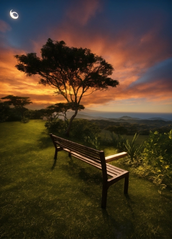 Ai Image To Vector, Cloud, Sky, Plant, Atmosphere, Outdoor Bench