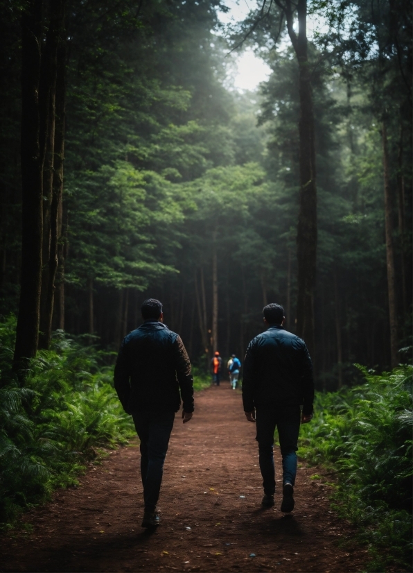 Ai Pictures, Plant, Trousers, People In Nature, Nature, Natural Environment