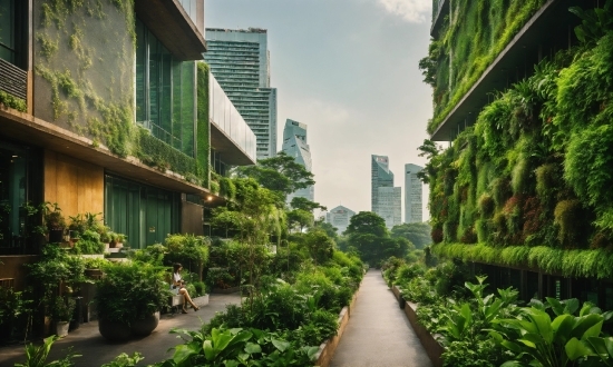 Art Generator, Plant, Building, Daytime, Property, Sky