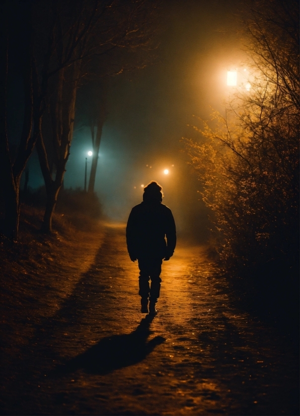 Atmosphere, Light, People In Nature, Street Light, Tree, Flash Photography