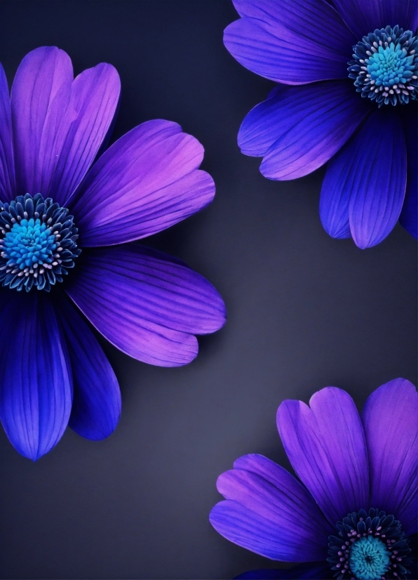 B Roll Stock Footage, Flower, Blue, Purple, Plant, Light