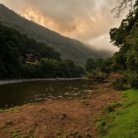 Background Motion Video Free Download, Cloud, Water, Plant, Sky, Mountain