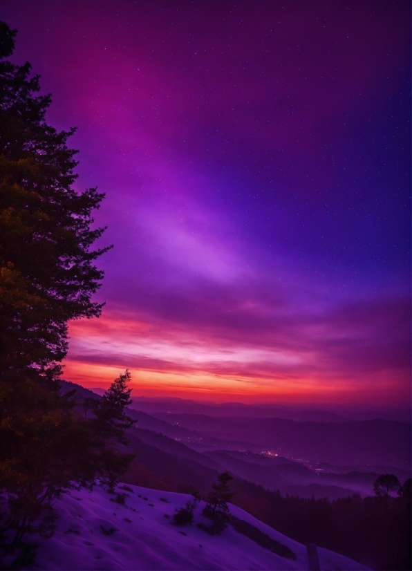 Bg Video For Kinemaster, Cloud, Sky, Atmosphere, Plant, Purple