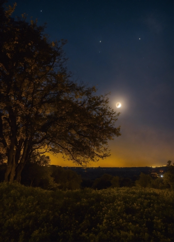 Call Background Video Download Free, Sky, Plant, Atmosphere, Moon, Natural Landscape